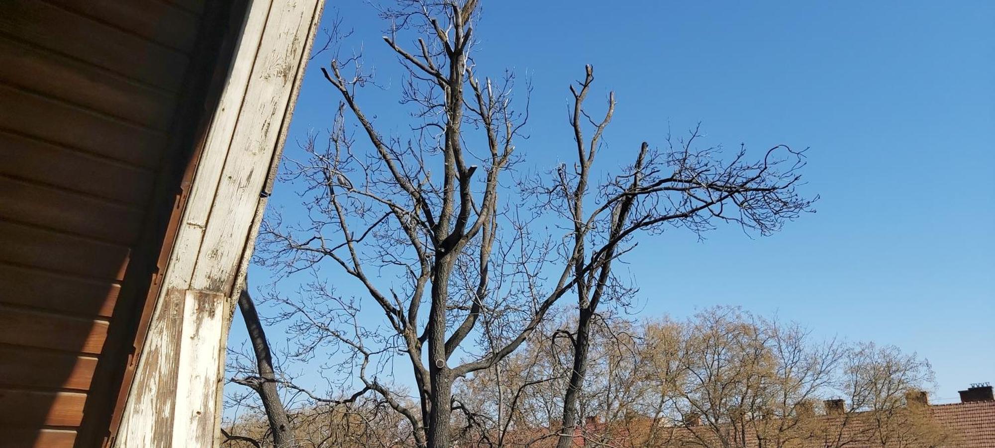 Park Vendeghaz Ξενοδοχείο Κεσκεμέτ Εξωτερικό φωτογραφία